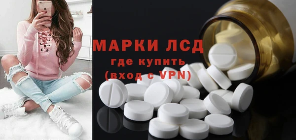 индика Абинск