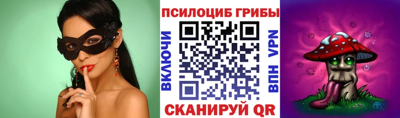 hydra ТОР  маркетплейс какой сайт  Галлюциногенные грибы Magic Shrooms  Александров 
